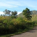 Perjalanan-Menuju-Padang-Rumput-Cihideung