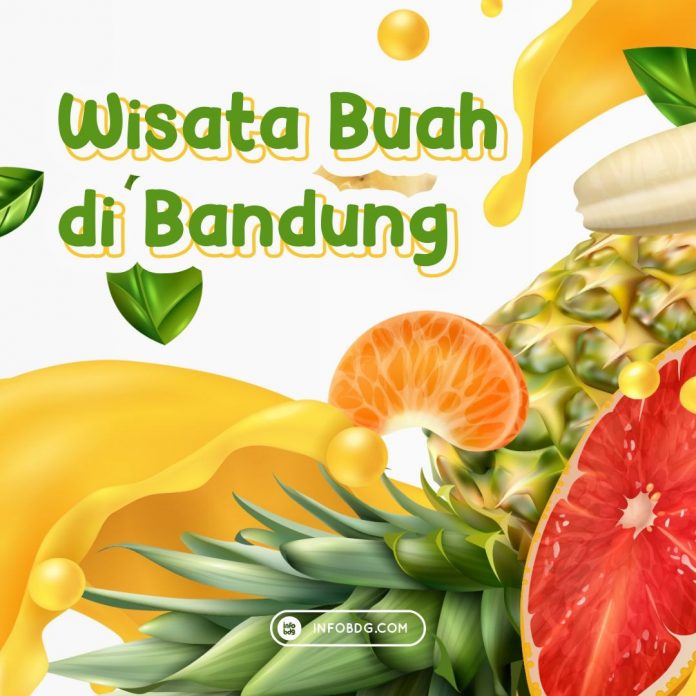 wisata buah
