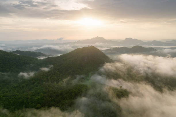 istockphoto-2090540104-612x612