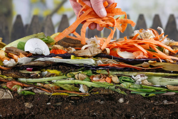 istockphoto-1201165050-612x612
