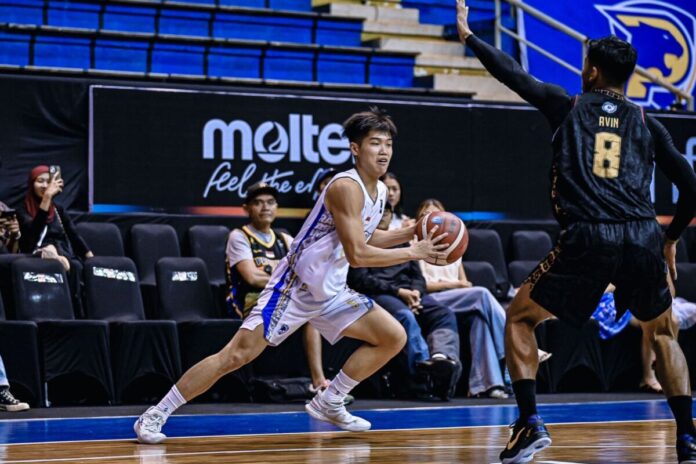 Dok. IBL 2025