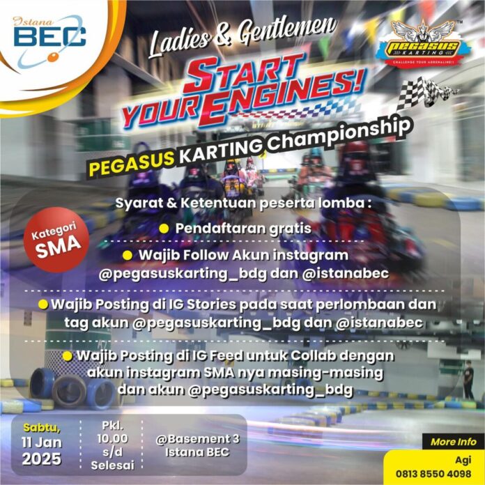Pegasus Karting Championship
