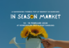Bertumbuh Bersama Brand Lokal di IN SEASON MARKET