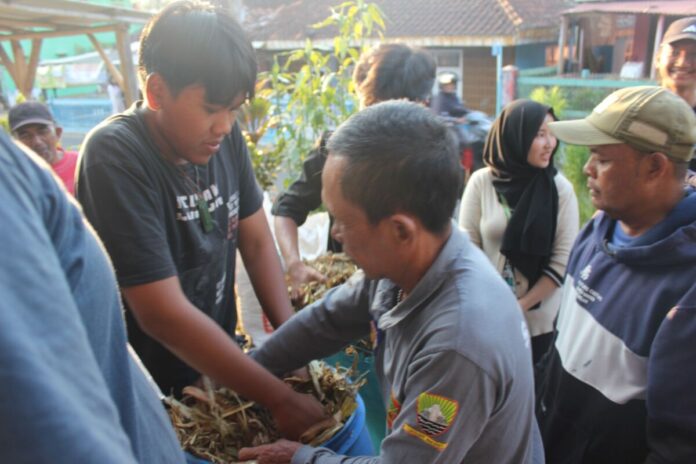 Social Village 1